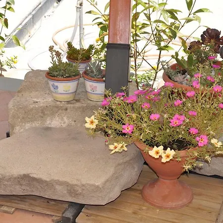 Il Casale Dei Conti 4*