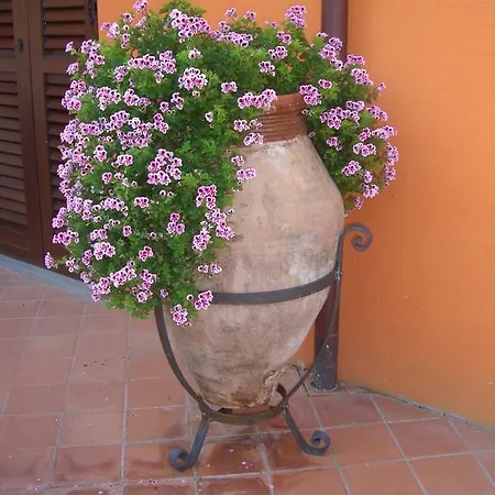 Il Casale Dei Conti