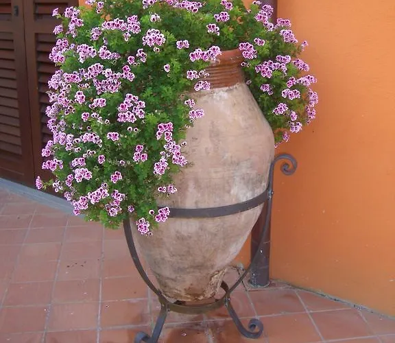 Il Casale Dei Conti